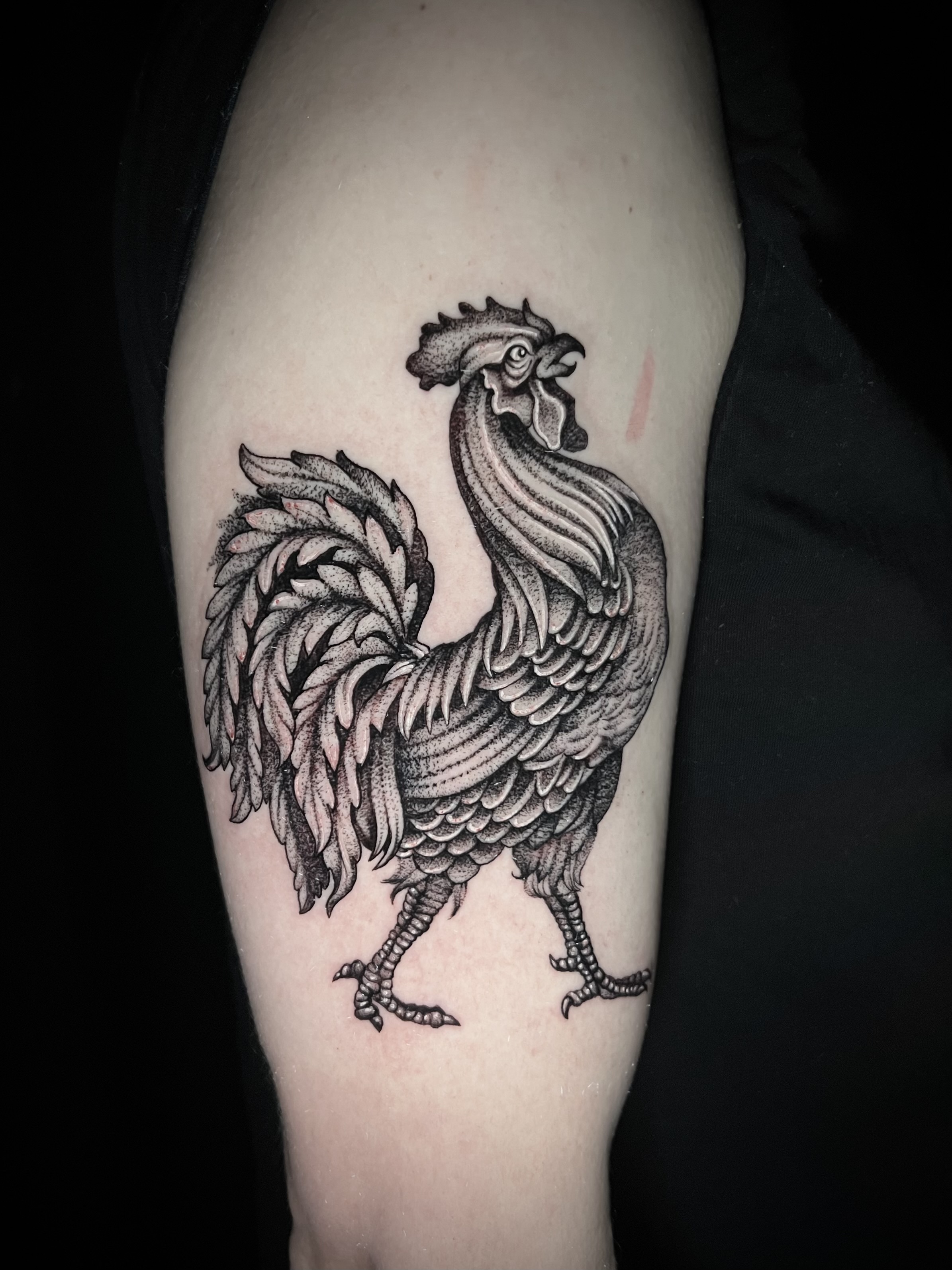 Emma tattoo